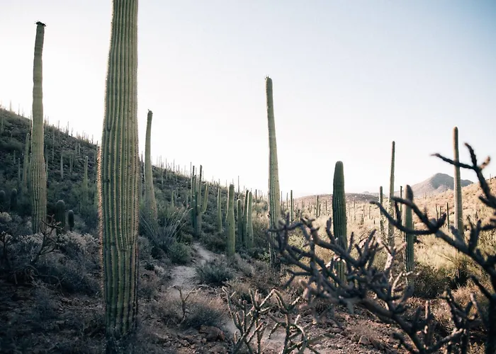 Jw Marriott Starr Pass 5* Tucson